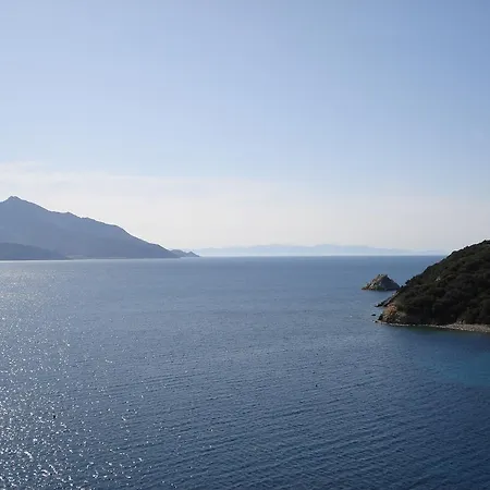 ゲストハウス Summer 4*