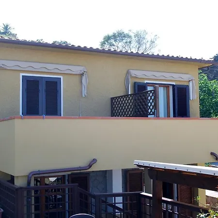 Summer ゲストハウス