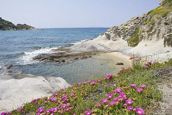 Summer B&B 4* Marciana (Isola d'Elba)