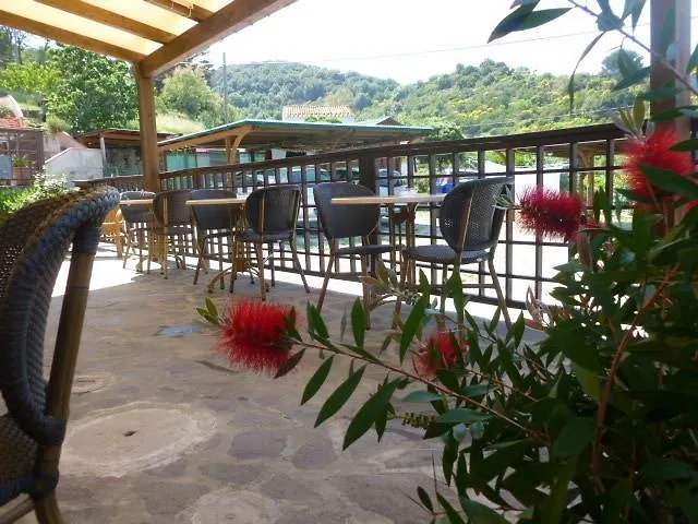 Summer B&B Guest house