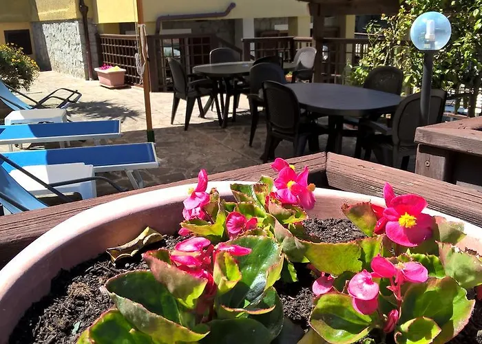 Guest house Summer B&B