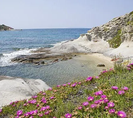Summer * Marciana (Isola d'Elba)