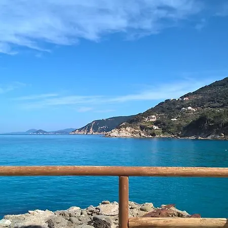 Summer Marciana (Isola d'Elba)