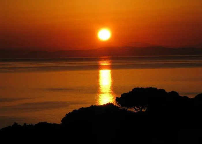 Summer 4* Marciana (Isola d'Elba)