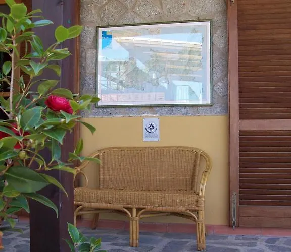 Summer マルチャーナ