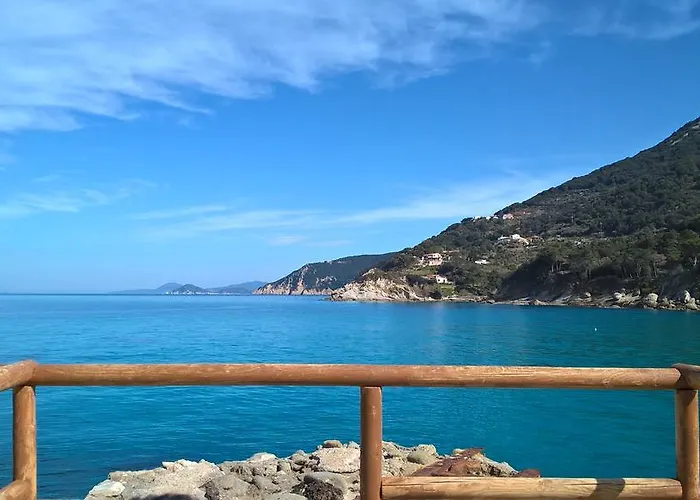 Summer マルチャーナ